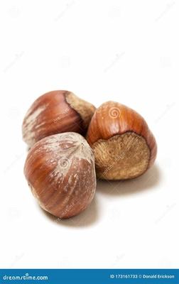 网游代理新蓝海 《三国将无双》0.1折魂穿三国模式的国际化运营之道